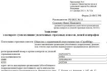 Permohonan pengembalian jumlah kelebihan pembayaran premi asuransi ke FSS Contoh formulir aplikasi 23 FSS Federasi Rusia