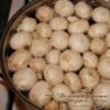 Cara membuat acar champignon: resep buatan sendiri