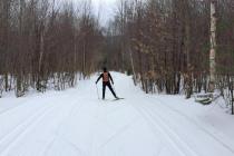 Selezione di diversi tipi di sci, loro deposito e preparazione